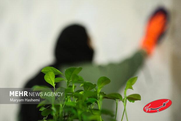 ترکیب مرگبار مواد شوینده در خانهتکانی