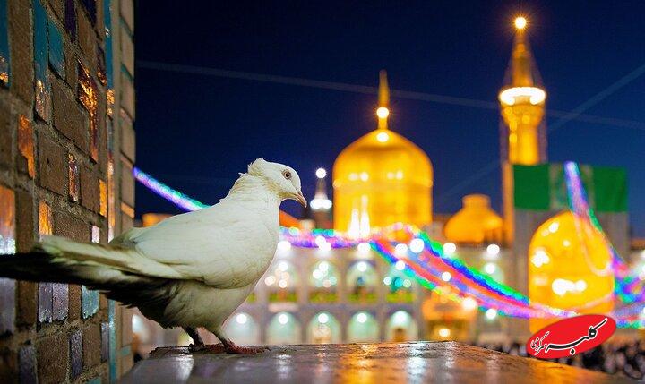 جنگهای شناختی در کلام و سیره امام رضا(ع) بررسی می شود