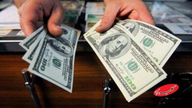 صرافی - ارز - دلار