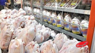 مرغ منجمد