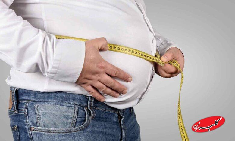 چاقی شکم