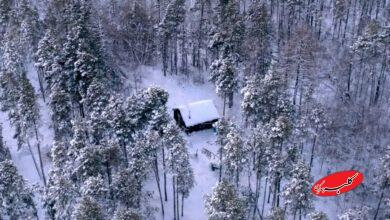 سردترین جنگل جهان