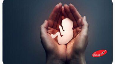 راهاندازی سامانه گزارشهای مردمی درباره سقط غیرقانونی جنین