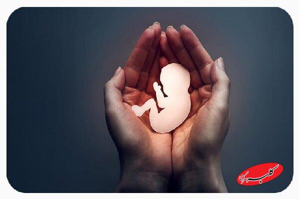 راهاندازی سامانه گزارشهای مردمی درباره سقط غیرقانونی جنین