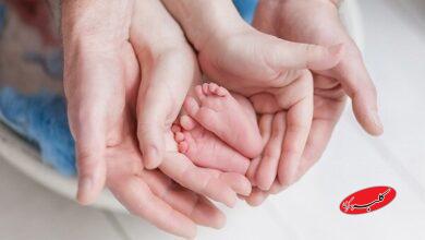 همهچیز درباره IVF؛ شانس موفقیت، هزینهها و واقعیتها