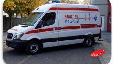 چهل و سومین اجلاس روسای اورژانس پیش بیمارستانی کشور برگزار شد
