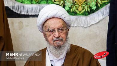 آیتالله مکارم شیرازی: ایمان به منجی، ضامن پایداری امت اسلامی است