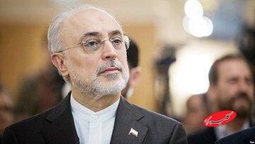 علی اکبر صالحی: جمهوری اسلامی مالکیت آرم شیر و خورشید را دارد/ شیر و خورشید نمادی است که ریشه در هویت ایرانی–اسلامی دارد و هنوز متعلق به ایران است