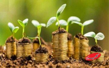 کسب روزی حلال چه اهمیتی دارد؟