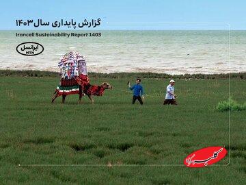 پنجمین گزارش پایداری ایرانسل منتشر شد