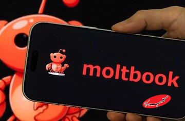 رسوایی شبکه اجتماعی Moltbook؛ آدرس ایمیل و کلید API هزاران کاربر لو رفت