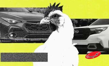 استفاده از خودروی سوبارو برای جابجایی مرغ و خروس