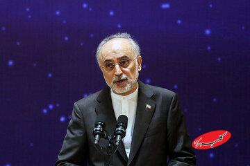 مثلث ترسیمی علی اکبر صالحی برای سیاست خارجی ایران؛ به روسیه نزدیک باشیم یا آمریکا؟/ انقلاب اسلامی مردمی بود اما بدون برنامه حکمرانی نداشت