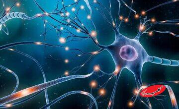 یادگیری یک زبان خارجی فقط در چند ثانیه