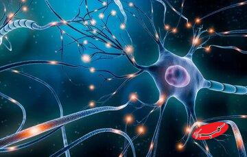 یادگیری یک زبان خارجی فقط در چند ثانیه