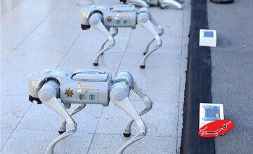 تامین امنیت جام جهانی فوتبال با این سگهای عجیب