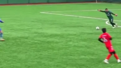 برخورد توپ با مرغ دریایی