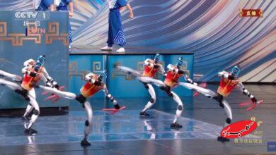 نمایش رباتهای کونگفوکار در چین