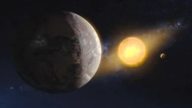 حیات فرازمینی