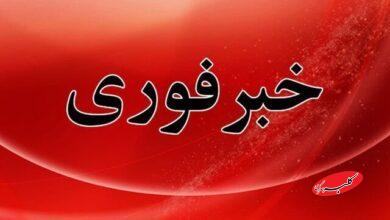 خبر فوری