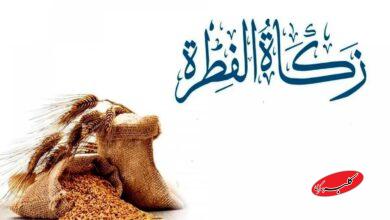 فطریه امسال چقدر است؟/ نرخ رسمی اعلام شد +ویدیو