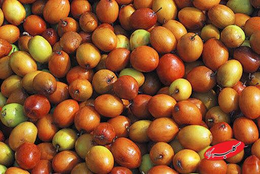 با مصرف این ماده خوراکی قلبتان را آرام کنید