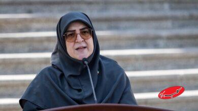 مهاجرانی برزیل
