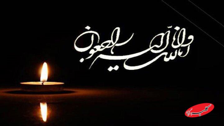 پیام تسلیت رییس سازمان نظام پزشکی برای شهادت کادر درمان
