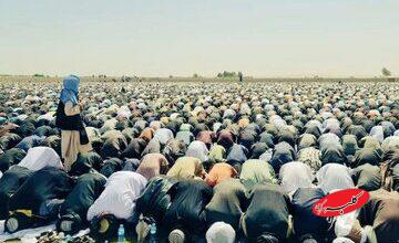 موسوی مبلغ: طالبان خود پنهان نمیکنند که بهدنبال استحاله اعتقادی شیعیاناند/ اگر برگزاری نماز عید، به نام مصلحت تعطیل شود، فردا نوبت خود مذهب است