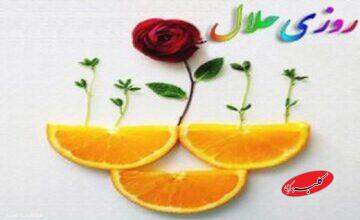 شبهه دستور دین به بانوان برای کسب روزی حلال