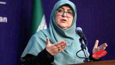 فاطمه مهاجرانی، سخنگوی دولت