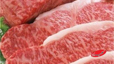 ماجرای فروش گوشت گراز وحشی در یک قصابی!