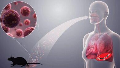 از هانتا ویروس بترسیم؟