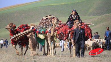 کوچ بهاره عشایر
