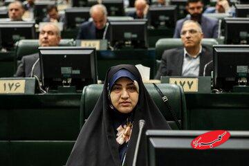 سمیه رفیعی کیست؟/ خانم نماینده دهه شصتی؛ از بهارستان تا اینستاگرام، از فراکسیون محیط زیست تا صندلی هیات رییسه