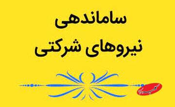 پیگیری اجرای دستور پزشکیان برای ساماندهی نیروهای شرکتی توسط مجلس/ قراردادهای نیروهای دارای مدرک لیسانس و بالاتر و زیر لیسانس به صورت خواهد بود؟