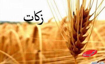 ایجاد تعادل اجتماعی یکی از اهداف وجوب زکات است