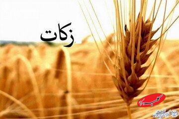 ایجاد تعادل اجتماعی یکی از اهداف وجوب زکات است