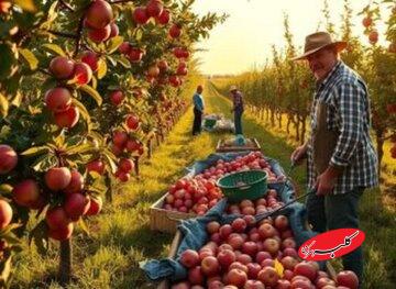 محبوب ترین شغل نزد خداوند