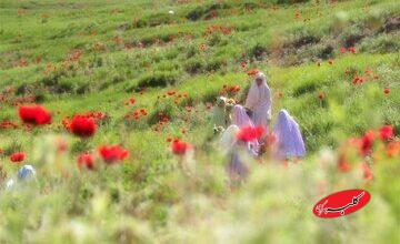 الگوی دینیِ حضور زن در جامعه؛ نه انزوا، نه بیمرزی