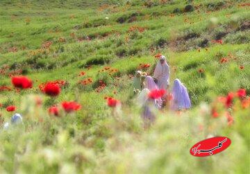 الگوی دینیِ حضور زن در جامعه؛ نه انزوا، نه بیمرزی