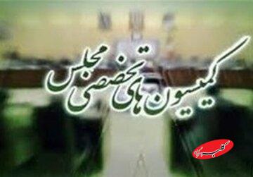 این دو وزیر پزشکیان مهمان کمیسیون های مجلس هستند+ جزئیات