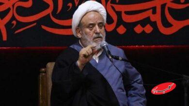 راز زنده ماندن مومنان در برزخ؛ هدایت، مشروط به ولایت است