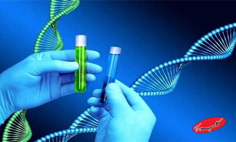 مصرف بالای ترشیجات خطر ابتلا به این سرطان را افزایش میدهد
