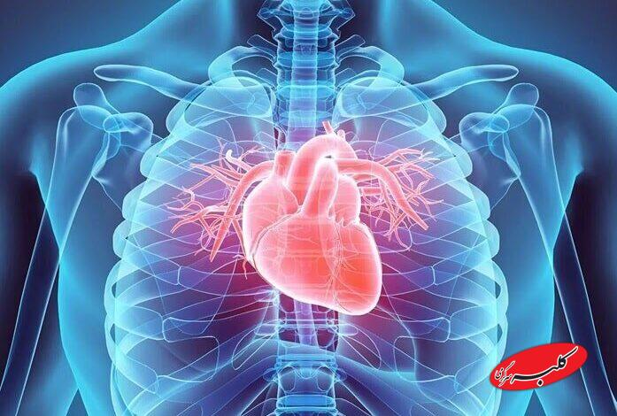 با انجام این کارها سلامت قلب خود را تضمین کنید