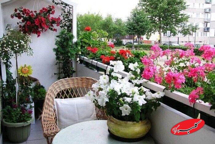 ۶ گیاهی که اصلا نباید بخرید!