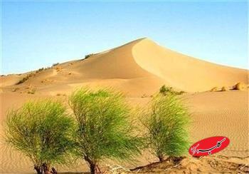 کارنامه ضعیف ۶ دهه مقابله با بیابانزایی در کرمان