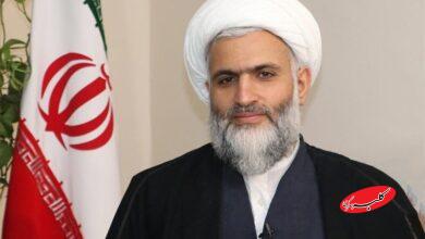 صلحمیرزایی، عضو مجلس خبرگان رهبری