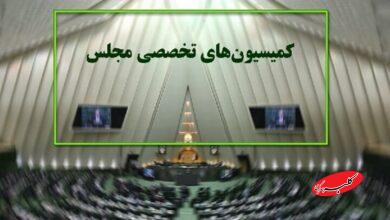 کمیسیون های تخصصی