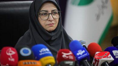 شینا انصاری